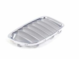 (51117347669) Kidney grille Set