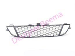 Alternative view of Bumper Grille