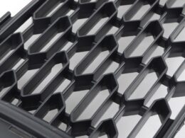 (51117289990) MINI Grille -Lower