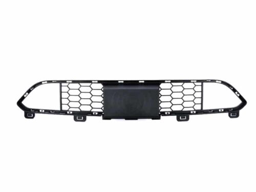 Genuine BMW Centre Grille - M ACC 51118056225