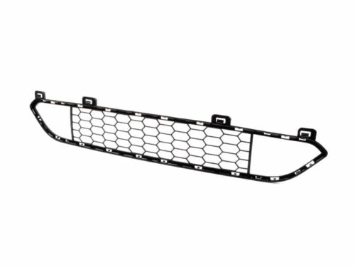 Genuine BMW Centre Grille - M 51118054012