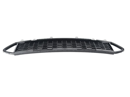 Genuine BMW Grille, Bumper, Middle Front 51118097500